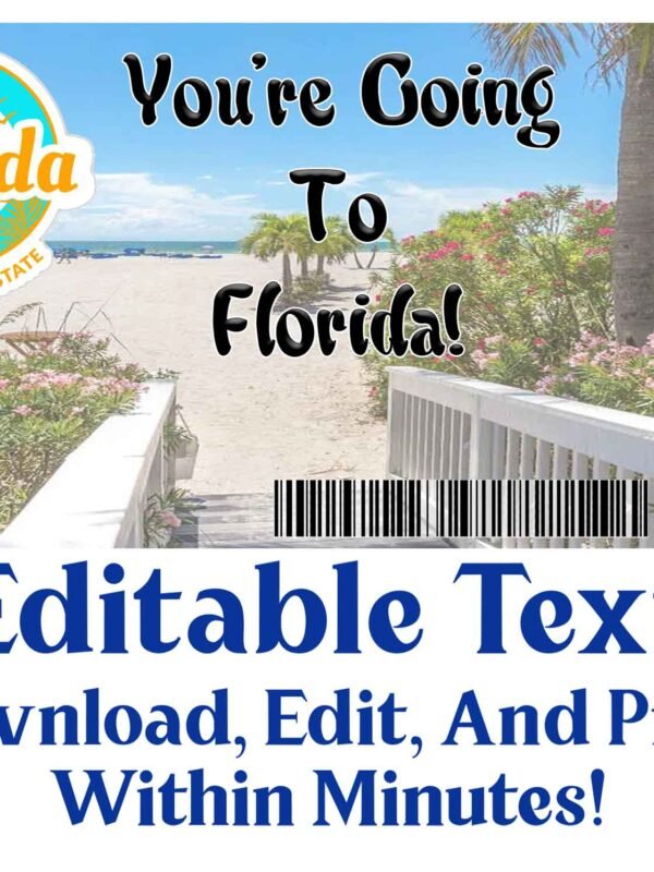 Florida Trip Boarding Pass - Print And Give A Ticket